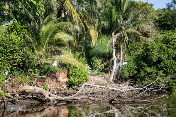 Microisla de biodiversidad en Laguna Lagartos