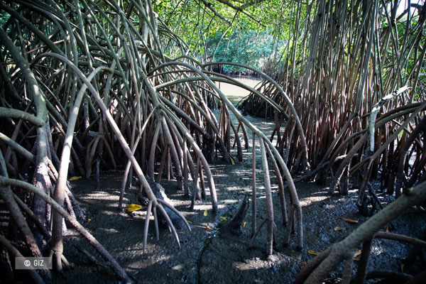 Unidos Somos Arroyo Moreno: Conservación de esta Área Natural Protegida