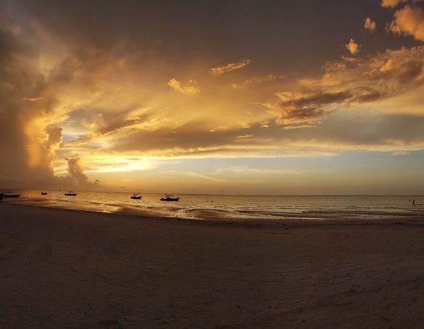 Proyecto piloto: Isla Holbox