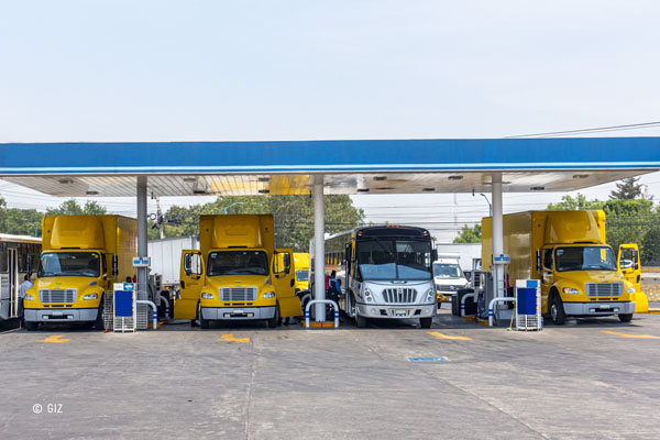 Análisis sobre el arrendamiento puro en México