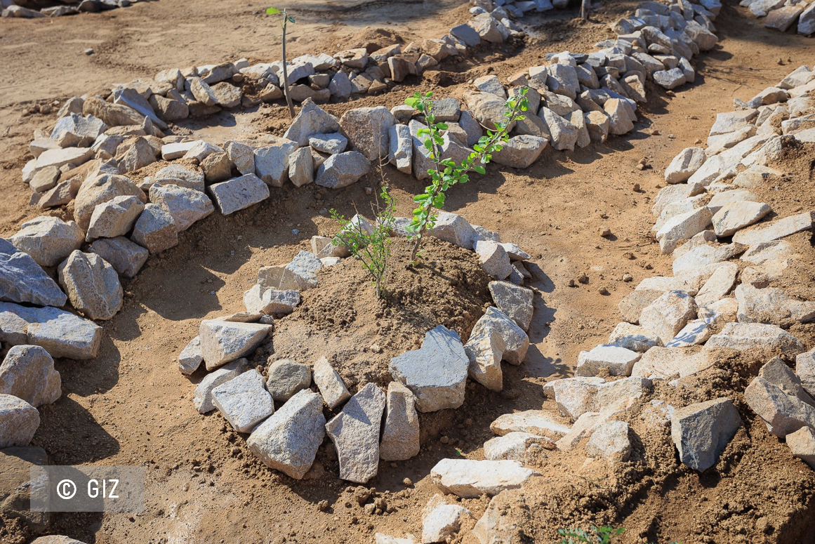 Iniciativas de Infraestructura Verde