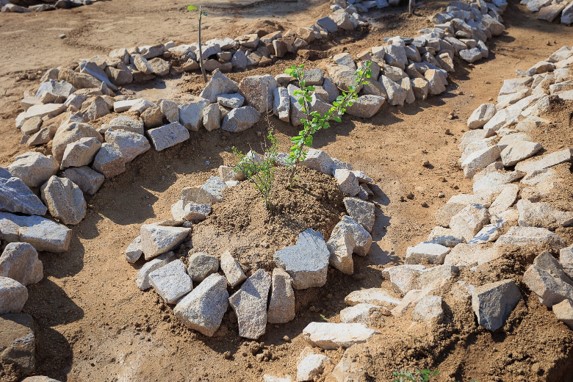 Herramienta para Infraestructura Verde