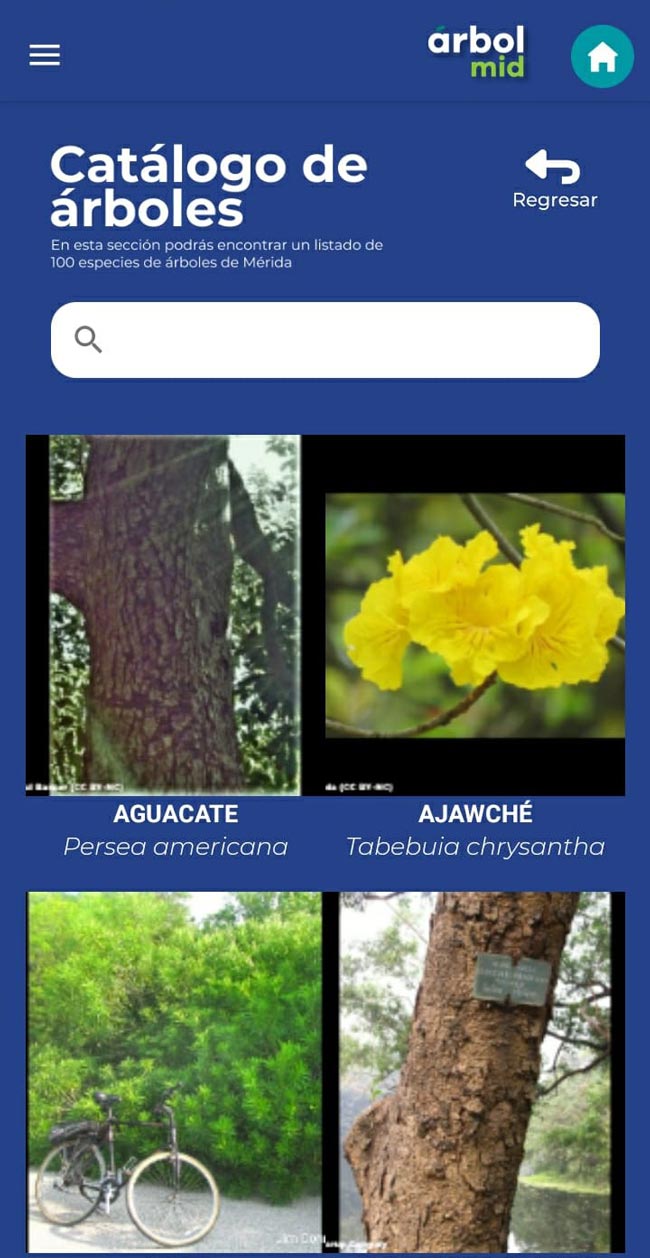 ÁrbolMID, aplicación digital para el mapeo del arbolado urbano.