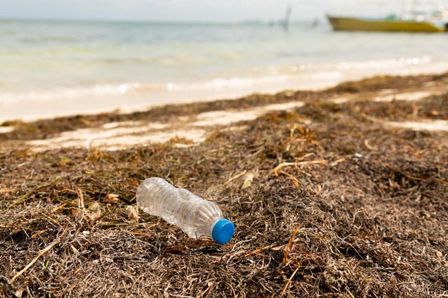 Botella de plástico a la orilla de una playa mexicana.