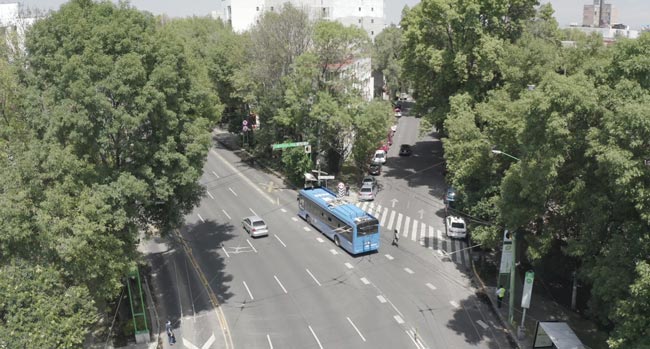 Trolebús circulando en una avenida de la Ciudad de México.