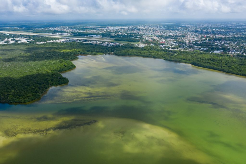 Boca Río Hondo, en Chetumal, es un ejemplo de zona biodiversa en torno a las ciudades.