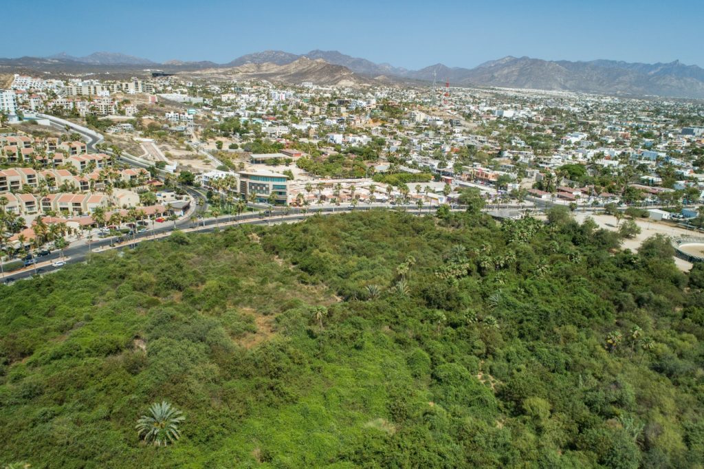 GIZ México trabaja para fortalecer la integración de la biodiversidad y los servicios ecosistémicos en ciudades costeras como Los Cabos.