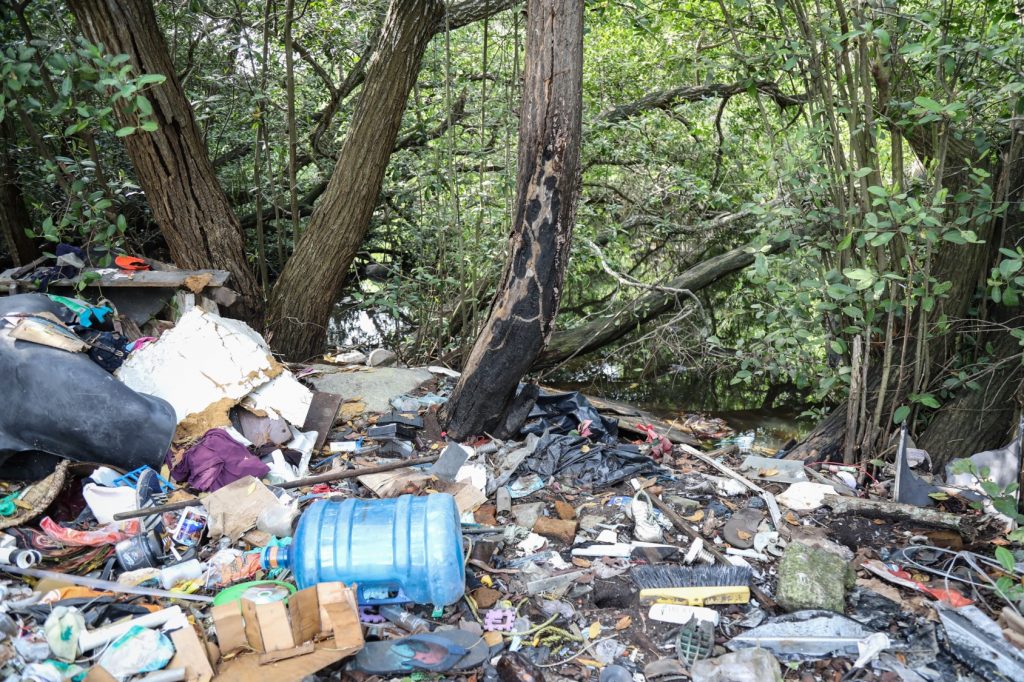 La contaminación de los ecosistemas, aquí en el Arroyo Moreno de Boca del Río, Veracruz, es una de las principales causas directas de la pérdida de la biodiversidad.