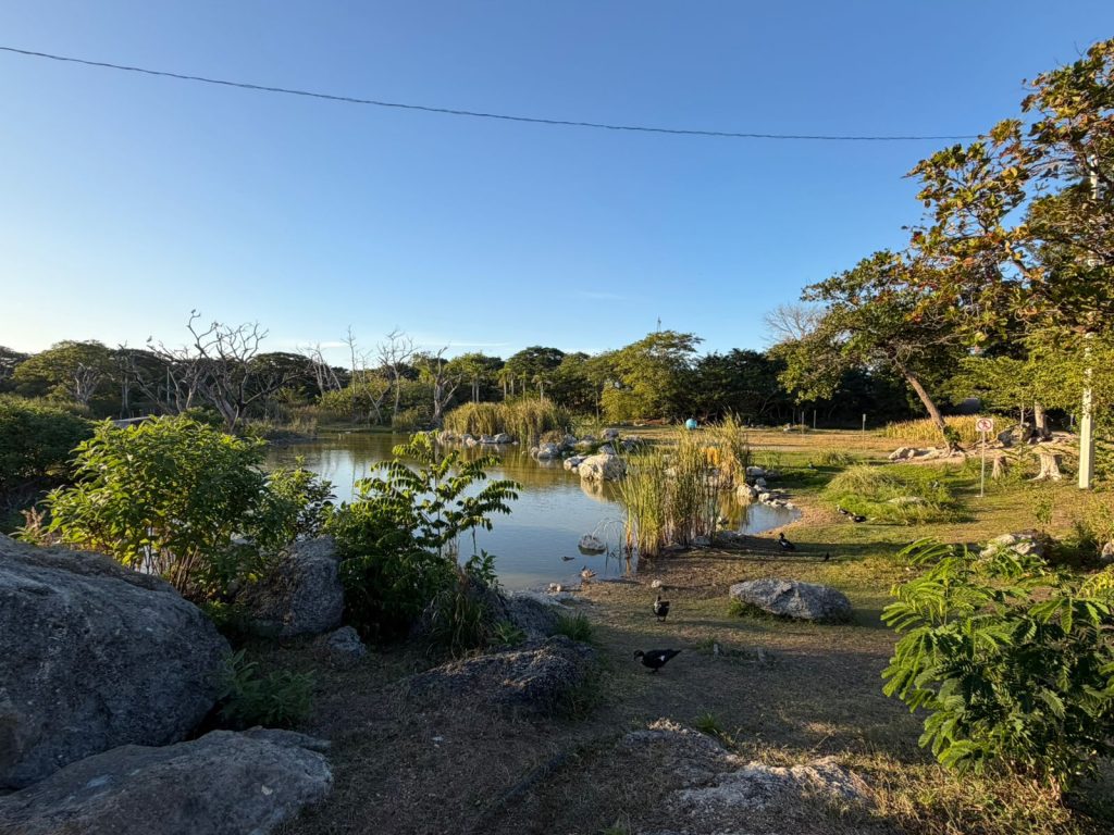 Área del humedal del BioCorredor Poniente.