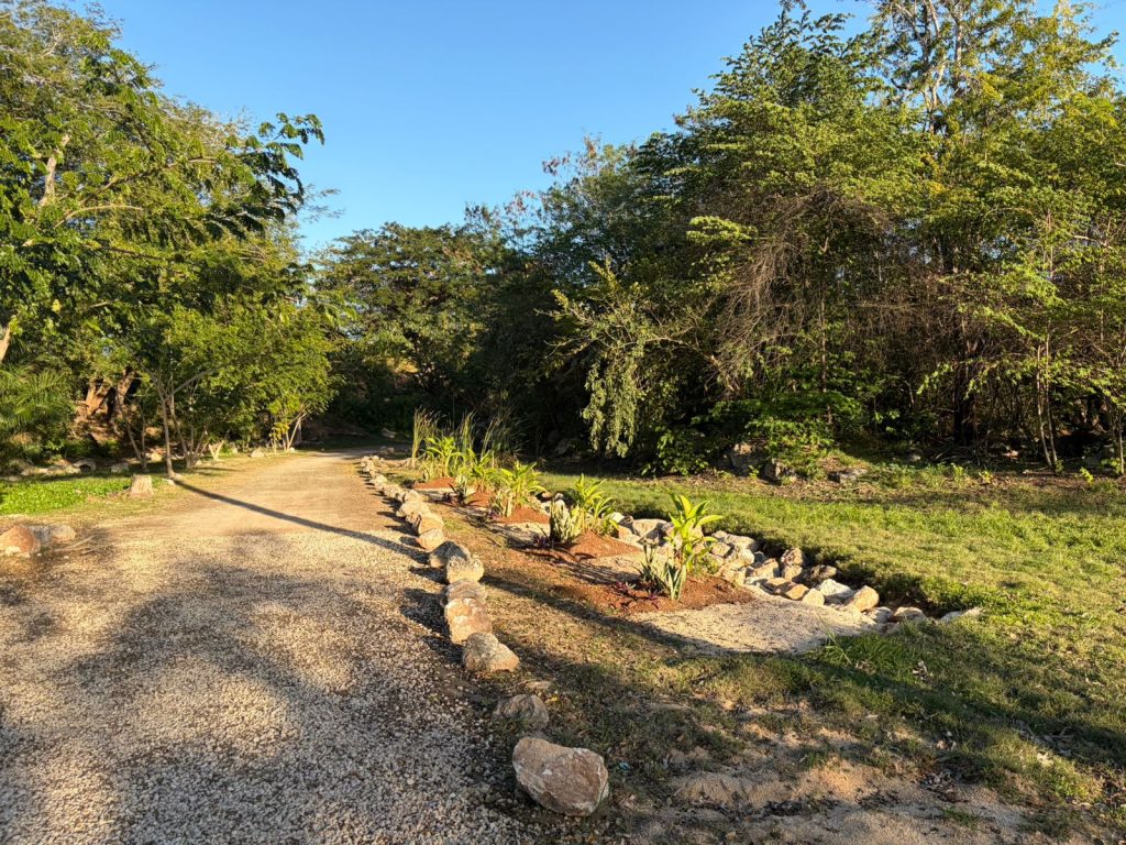 Jardín de microcuenca para la gestión del agua de lluvia, diseñado para captar, retener e infiltrar el agua pluvial.