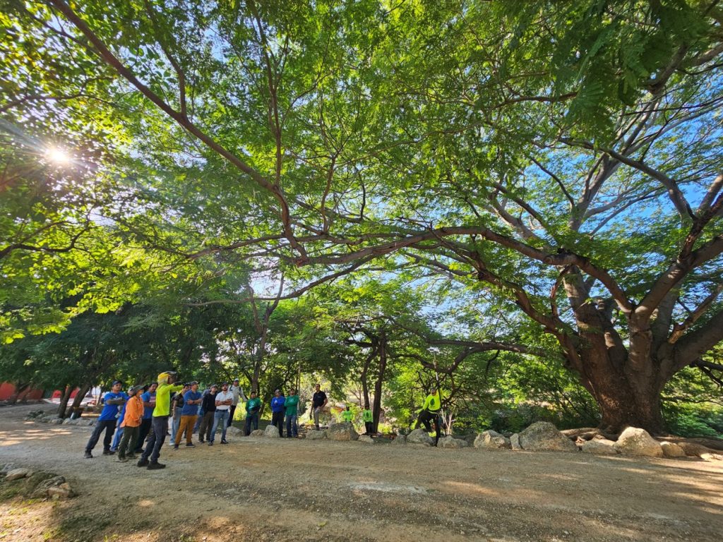 Labores de poda al árbol “patrimonial” designado así por su valor ecosistémico en el BioCorredor Poniente.